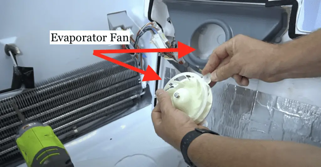 evaporator fan